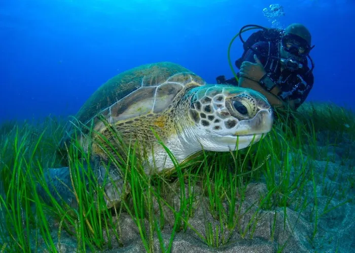 Appartamento Linos *